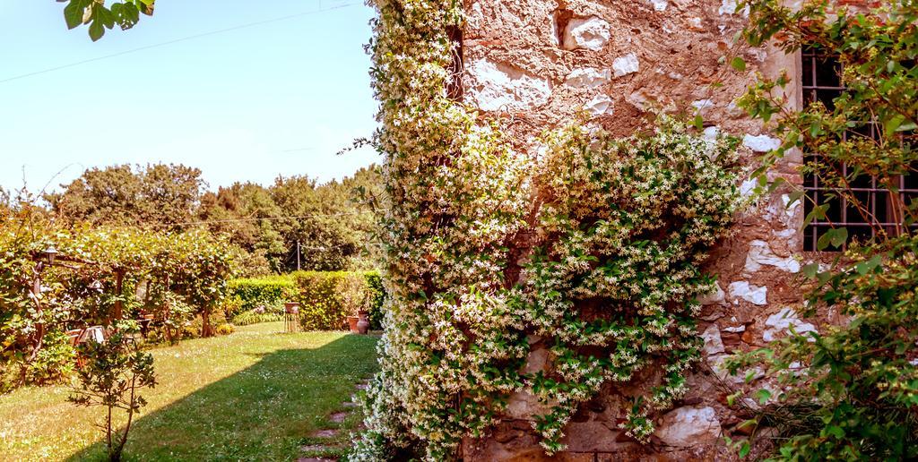 Corte Della Rusticuccia Apartment ลุคคา ภายนอก รูปภาพ
