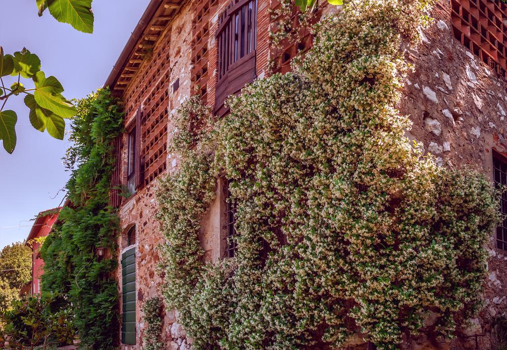Corte Della Rusticuccia Apartment ลุคคา ภายนอก รูปภาพ
